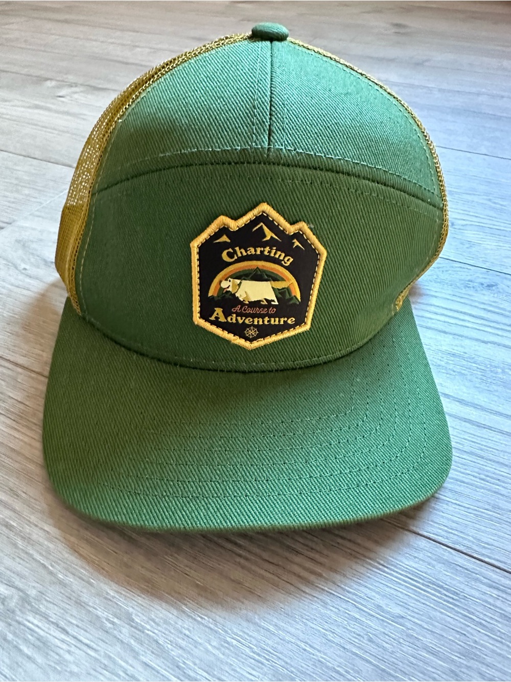 Disney Pixar Up Green and Gold Charting a Course to Adventure (with Dug) hat